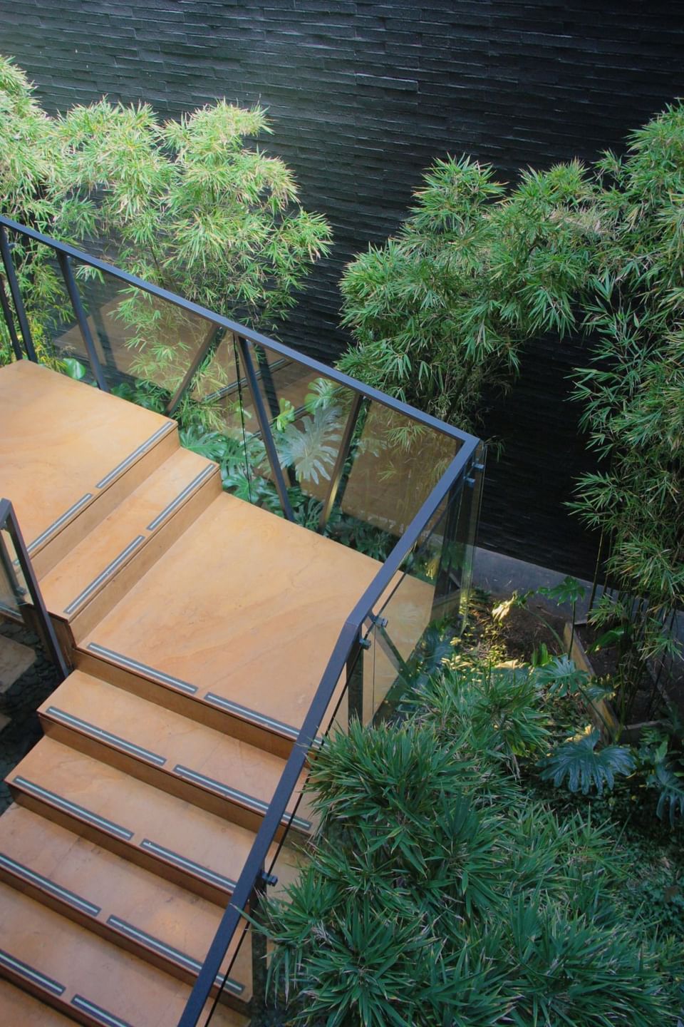 Escaleras de madera y barandilla de cristal junto a plantas verdes y muro negro.